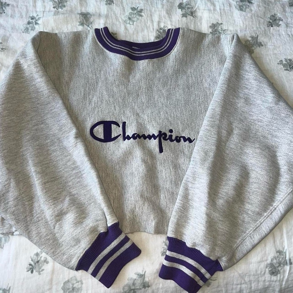 Champion Gray and Purple Crew Neck Sweater